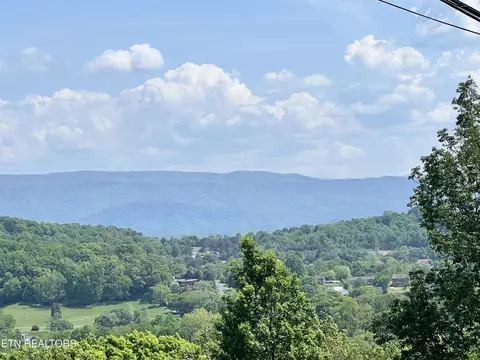 658 N Cunningham Rd, Seymour, TN 37865
