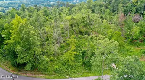 12 Tomahawk Dr, Cosby, TN 37722 photo 4