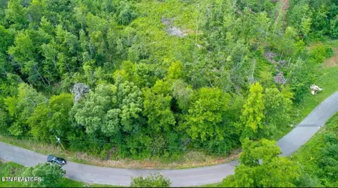 12 Tomahawk Dr, Cosby, TN 37722 photo 3