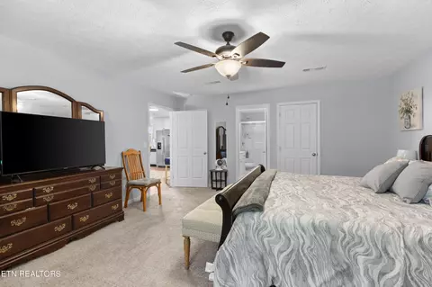 695 Parsonage Rd, White Pine, TN 37890 photo 13