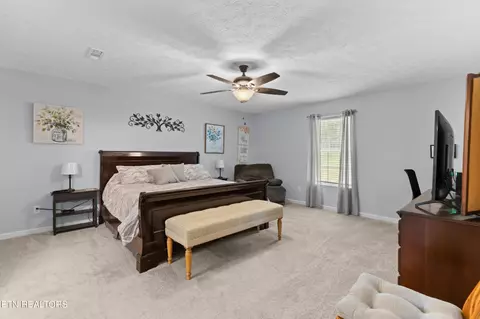 695 Parsonage Rd, White Pine, TN 37890 photo 12