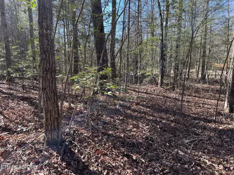 0 Bear Hollow Rd, Oneida, TN 37841