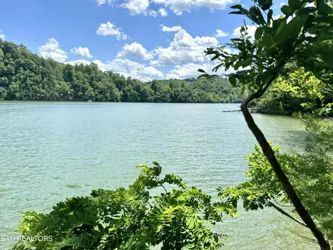 0 Mountain Shores Rd, New Tazewell, TN 37825
