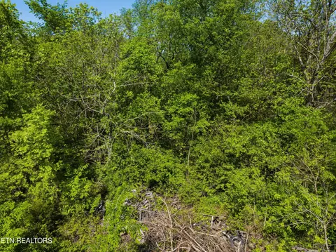 0 Talbott-kansas Rd, Talbott, TN 37877 photo 4