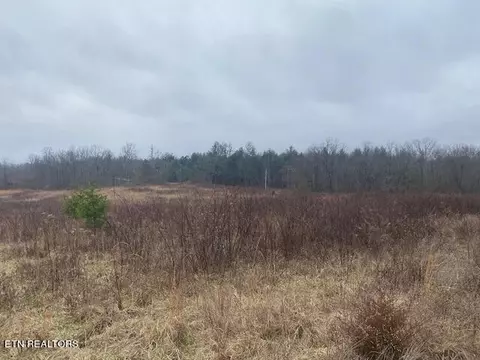 1 Rome Rd, Deer Lodge, TN 37726 photo 4