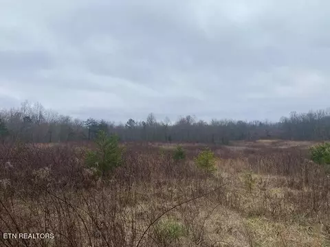 1 Rome Rd, Deer Lodge, TN 37726 photo 3
