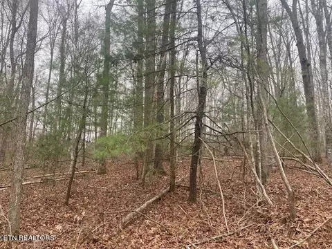 1 Rome Rd, Deer Lodge, TN 37726 photo 8