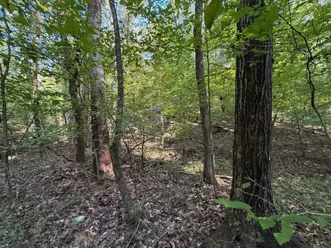 5 Mullins Cove Rd, Whitwell, TN 37397