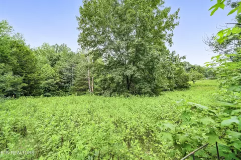 311 Deweys Lane Ln, Walling, TN 38587 photo 31