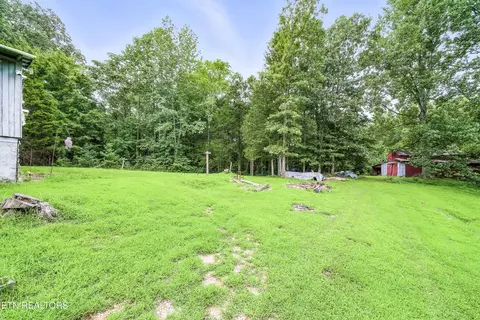 311 Deweys Lane Ln, Walling, TN 38587 photo 28