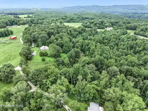 311 Deweys Lane Ln, Walling, TN 38587 photo 39