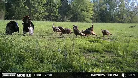 Other - 3083 Mooneyhan Rd, Springfield, TN 37172 photo 16 of 21
