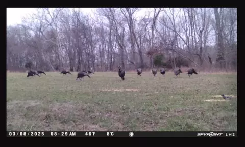 Other - 3083 Mooneyhan Rd, Springfield, TN 37172 photo 20 of 21