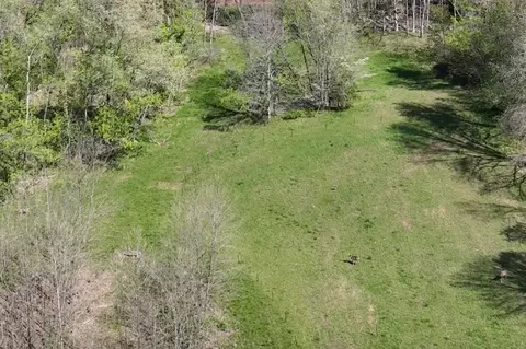 Other - 3083 Mooneyhan Rd, Springfield, TN 37172 photo 8 of 21