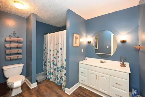 Bath - 3083 Mooneyhan Rd, Springfield, TN 37172 photo 2 of 2