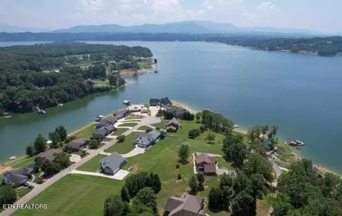 367 Back Nine Dr, White Pine, TN 37890 photo 46