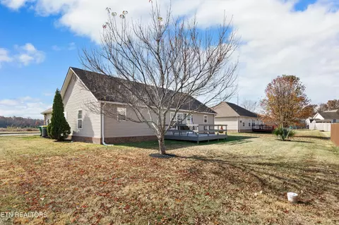 6519 Colossal Ln, Corryton, TN 37721 photo 28