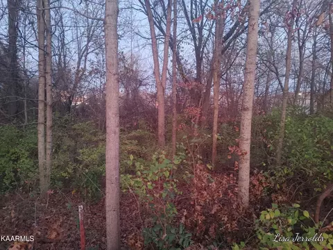 304 W Young High Pike, Knoxville, TN 37920