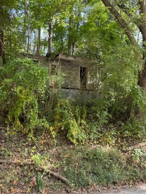 0 Bradley Hollow Rd, Lafayette, TN 37083
