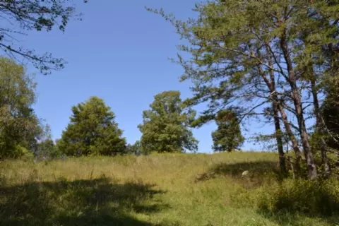 0 Taylor Place Rd, Jamestown, TN 38556
