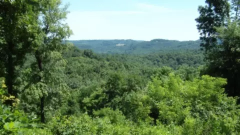 0 Rock Fish Ln, Hilham, TN 38568