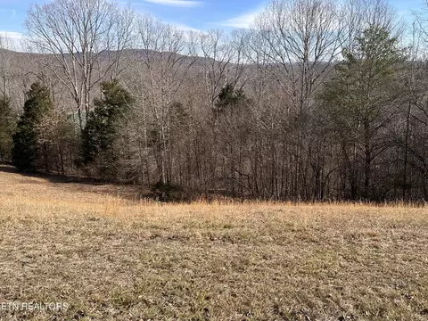 0 Cliff Edge Rd, Monroe, TN 38573 photo 5