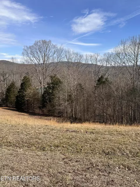 0 Cliff Edge Rd, Monroe, TN 38573