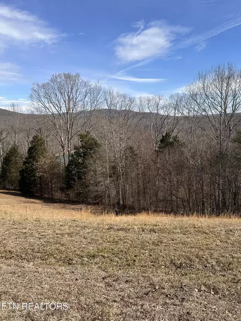 0 Cliff Edge Rd, Monroe, TN 38573 photo 4