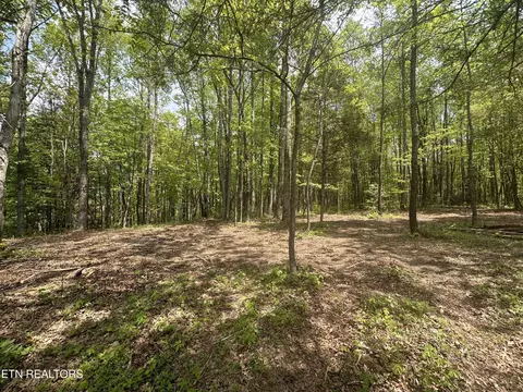 50 Oloff Smith Rd, Allardt, TN 38504