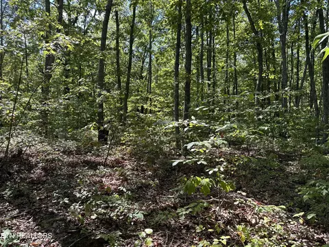 125 Raspberry Ln, Jamestown, TN 38556
