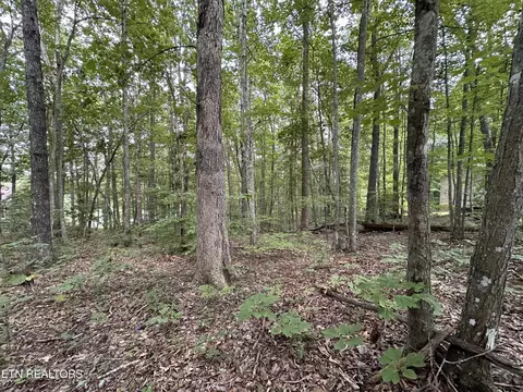 119 Huckleberry Dr, Jamestown, TN 38556
