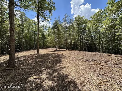 1616 Sarah Beth Dr, Jamestown, TN 38556