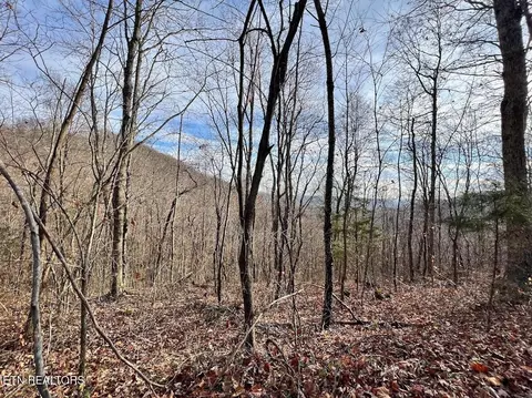 392 Squirrel Flat Rd, Jamestown, TN 38556