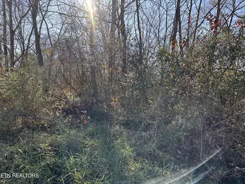 0 Hillcrest Dr, Byrdstown, TN 38549
