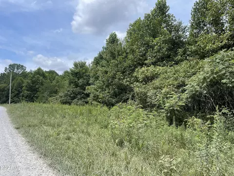 617 Parkstown Rd, Wilder, TN 38589