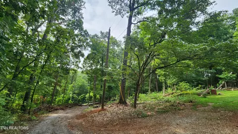 196 Moore Ln, Powell, TN 37849 photo 25