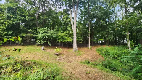 196 Moore Ln, Powell, TN 37849 photo 29