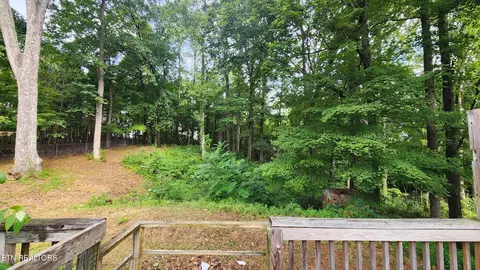 196 Moore Ln, Powell, TN 37849 photo 28