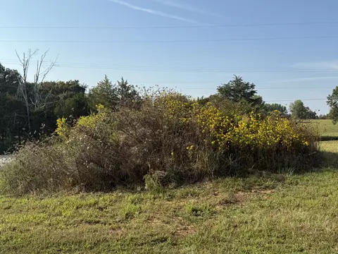 816 Tucker Rd, Dickson, TN 37055 photo 35