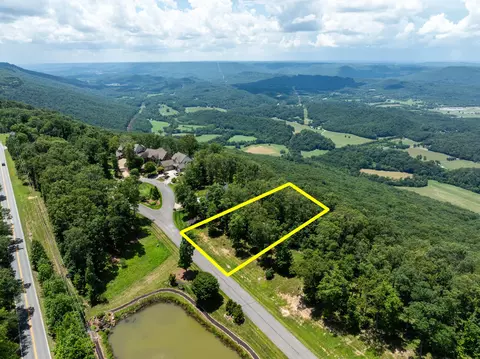 63 Brow Wood Ln, Lookout Mountain, GA 30750