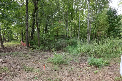 245 Woolf Pass Ln, Sparta, TN 38583