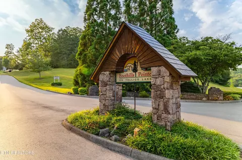 119 Pointe Summit Dr, Greenback, TN 37742 photo 46