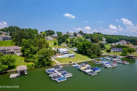 119 Pointe Summit Dr, Greenback, TN 37742 photo 47