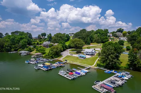 119 Pointe Summit Dr, Greenback, TN 37742 photo 45