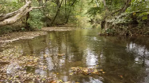 1 Noah Rd, Beechgrove, TN 37018