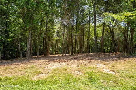 171 Pinecrest Dr, Loudon, TN 37774