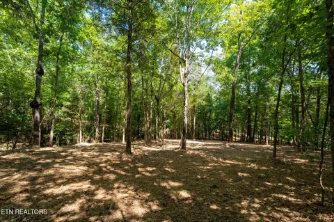 125 Pinecrest Dr, Loudon, TN 37774