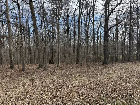 0 Rouse Rd, Dickson, TN 37055 photo 12