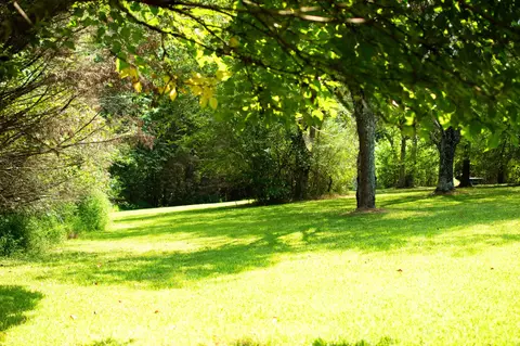 0 Mannin Rd, Leoma, TN 38468