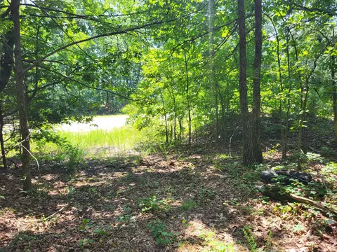 3 Birdsong Rd, Holladay, TN 38341